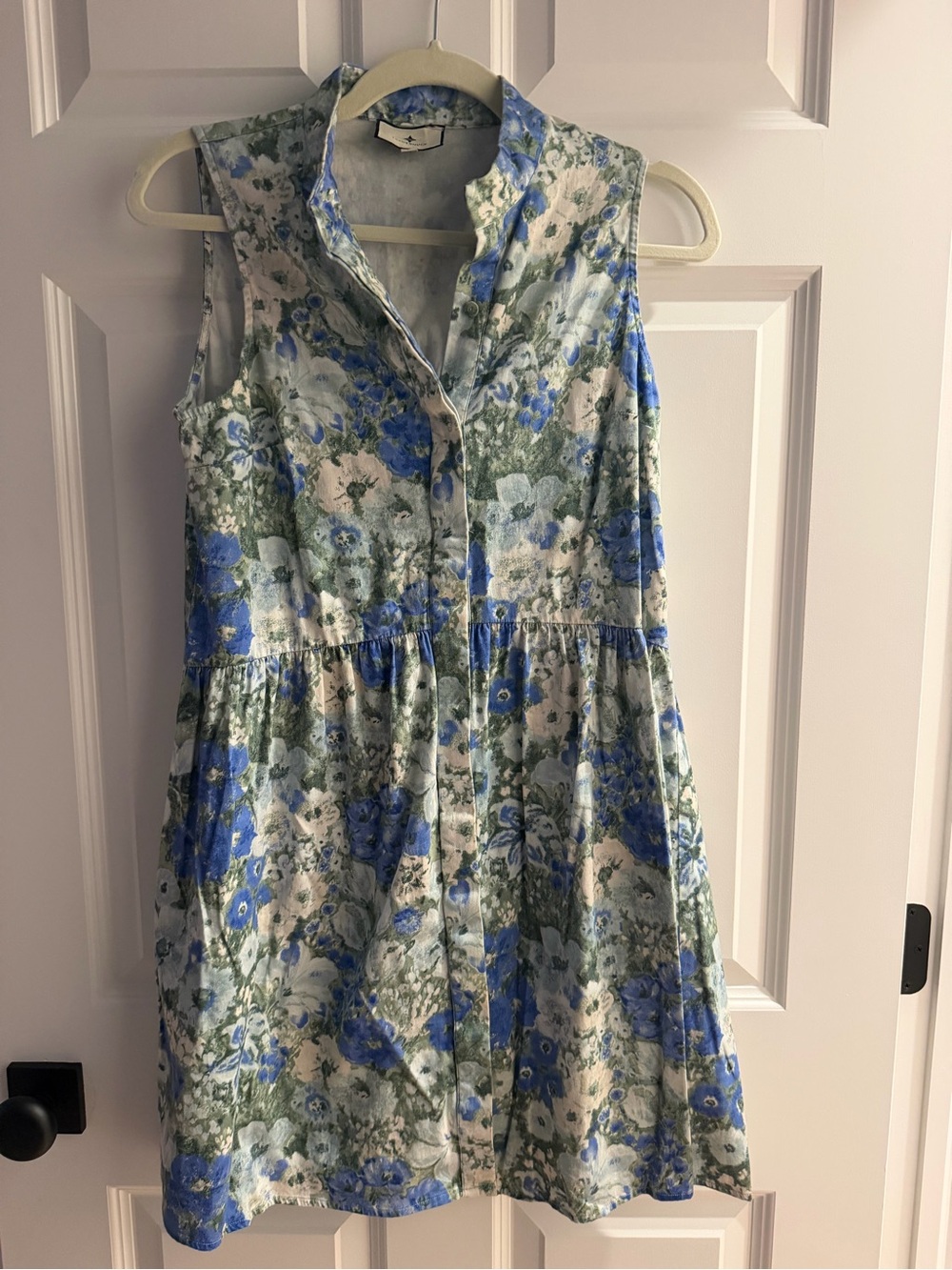 Tuckernuck Blue and Green Floral Sleeveless Button-Front Dress